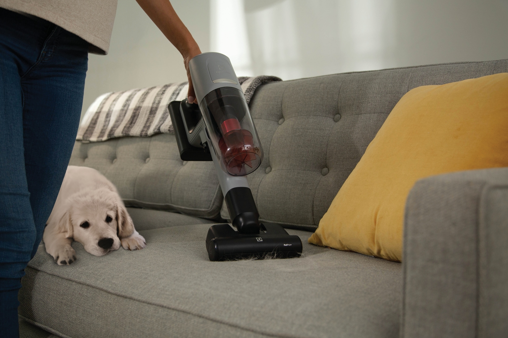 Ergorapido™ Vacuum