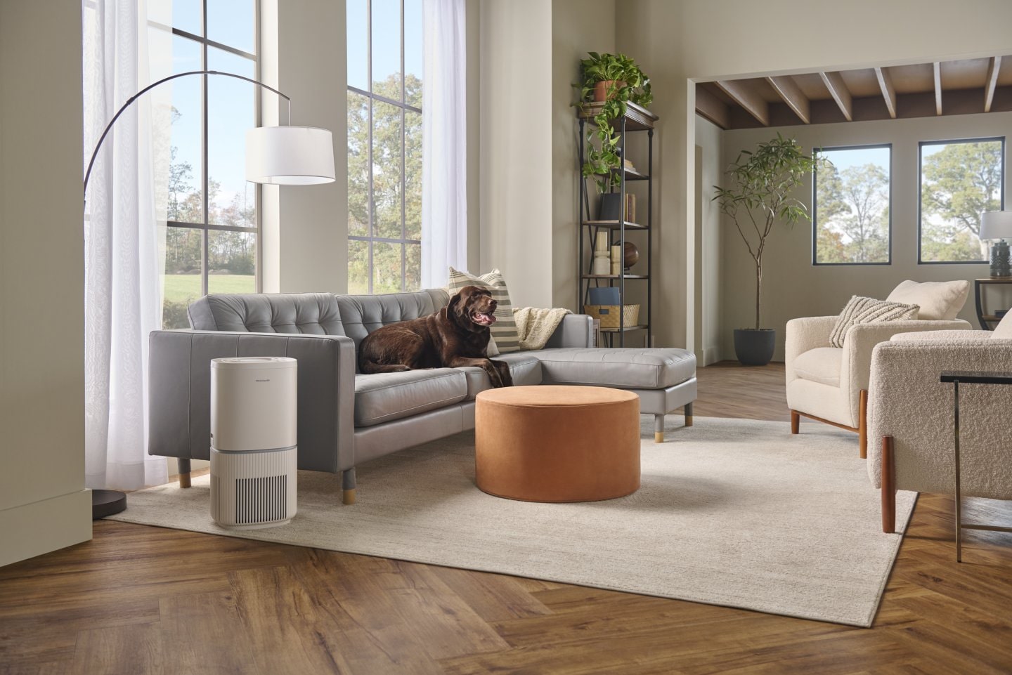 Frigidaire Air Purifier in living room with chocolate Lab on the couch