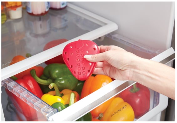 Vegetable drawer in the refrigerator