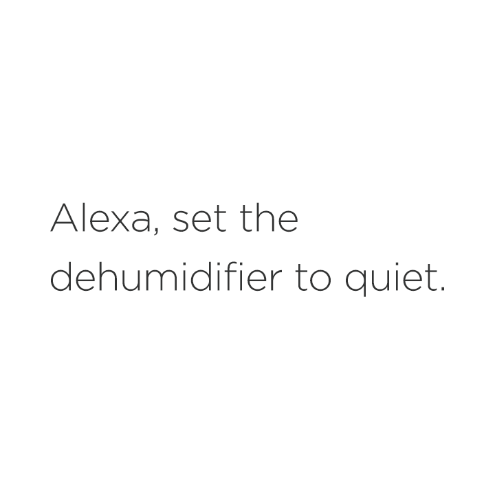 Alexa Command text